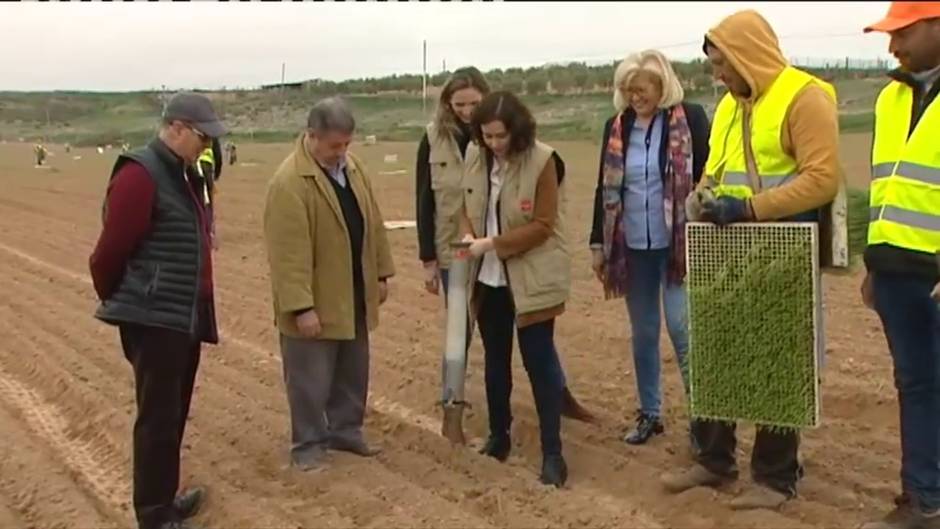 Díaz Ayuso presenta el Plan Terra para la inversión en la agricultura madrileña