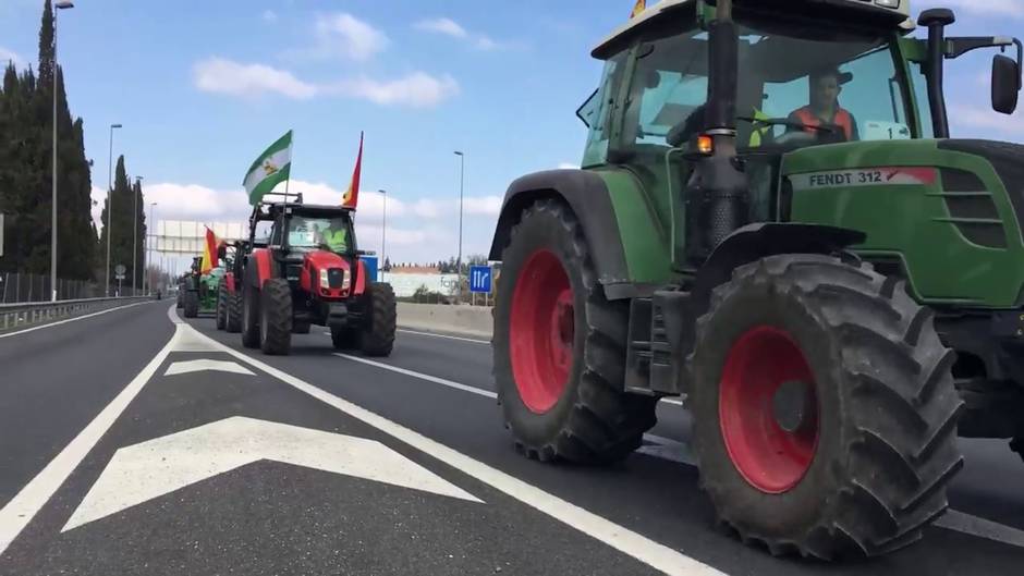 Una tractorada en protesta por el sector agrario atraviesa Granada