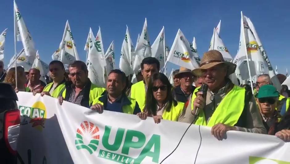 Los representantes de Asaja, UPA y COAG se unen a las protestas del sector agrario