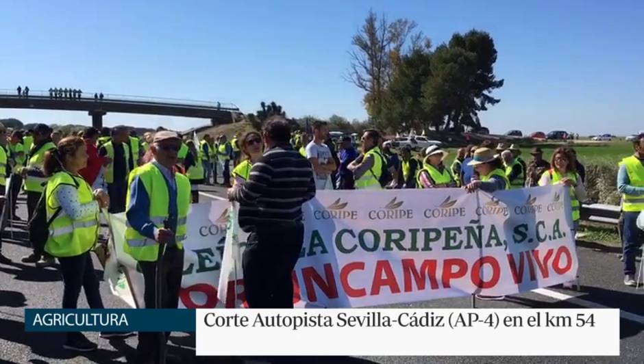 Corte Autopista Sevilla-Cádiz (AP-4) en el km 54