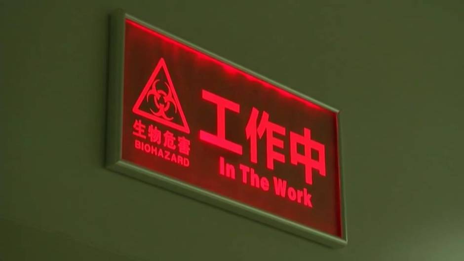 Los científicos buscan la vacuna del Coronavirus