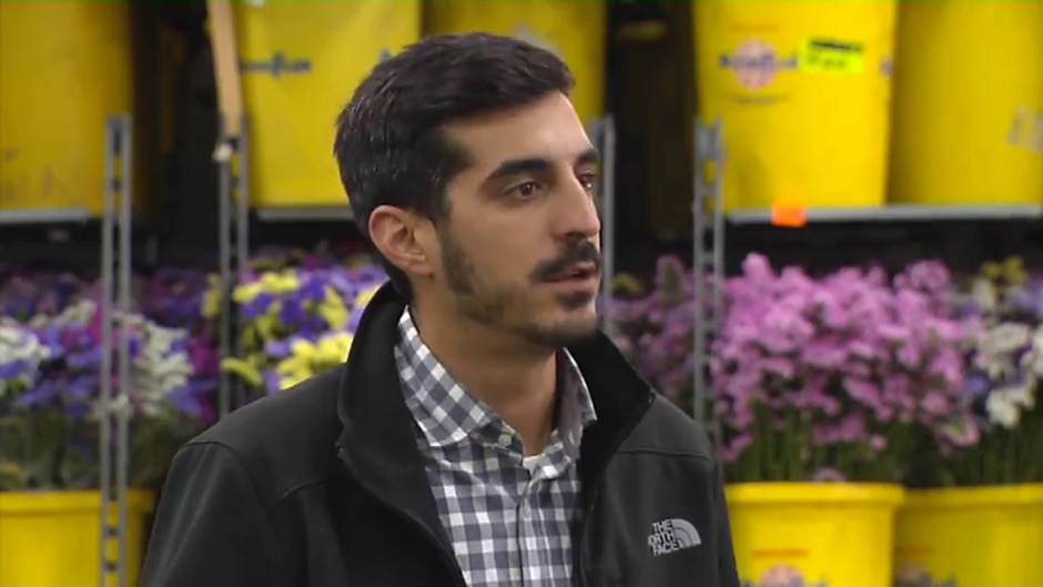 El sector de la flor cortada se enfrenta a la ruina