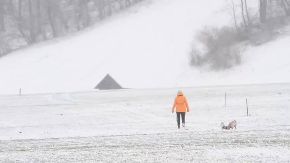 Nieva intensamente en Berlín