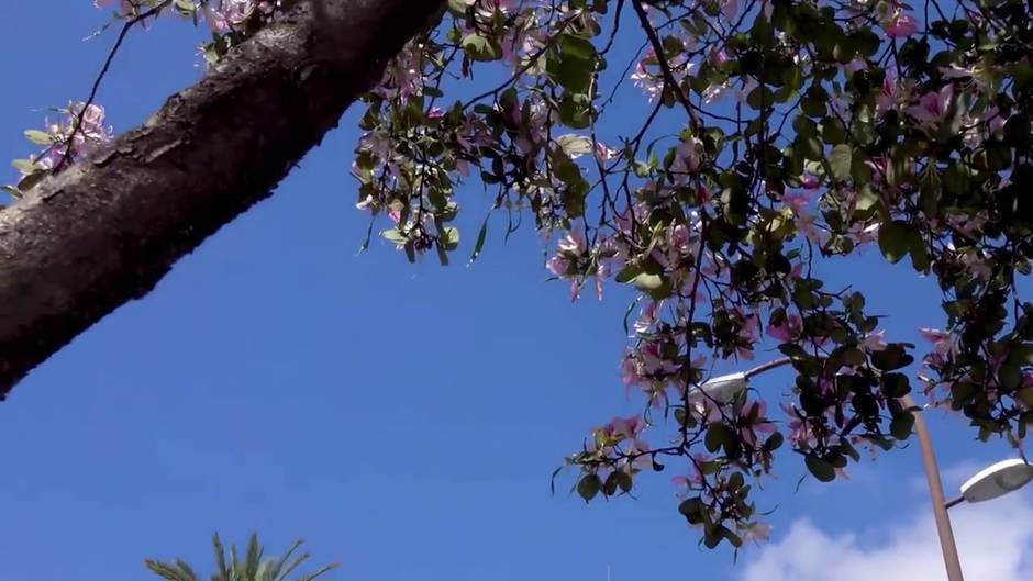 Día Internacional de la Tierra en Sevilla