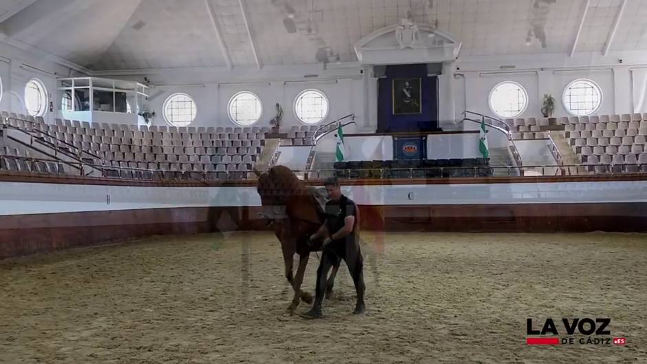 La Real Escuela Andaluza del Arte Ecuestre prepara su reapertura