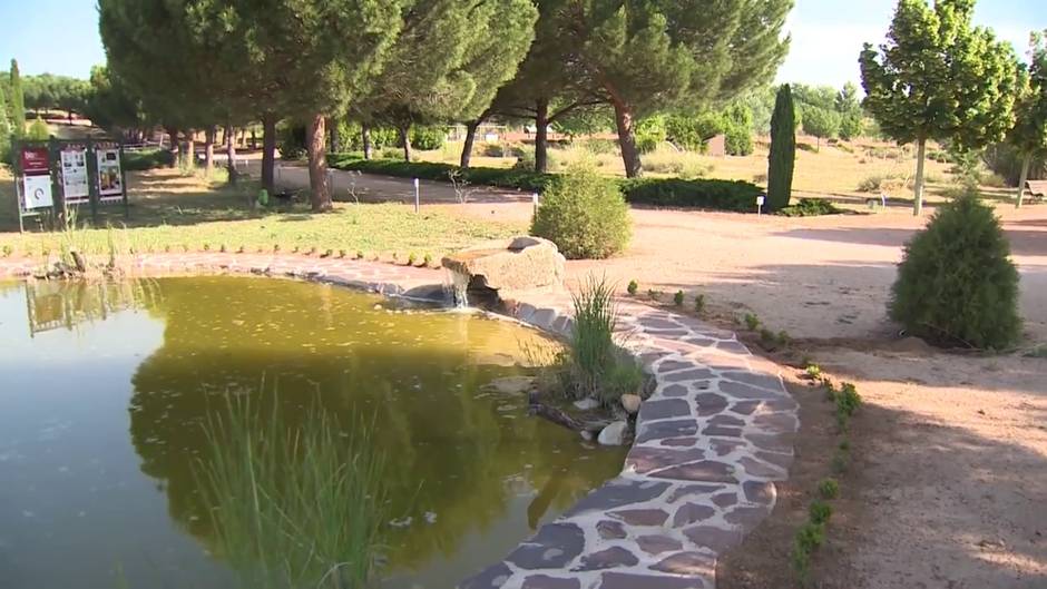 El Real Jardín Botánico de Alcalá reabre con medidas seguridad y prevención