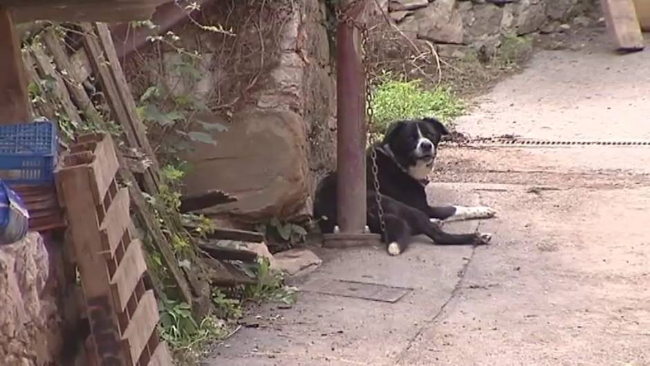 Incertidumbre ante la llegada de miles de visitantes en algunos destinos turísticos