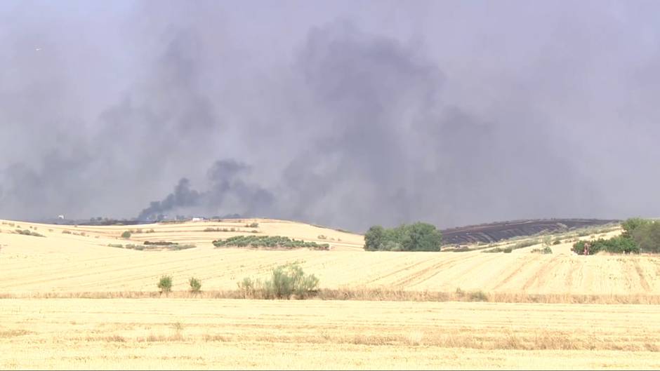 Desalojadas dos urbanizaciones, en Madrid y Guadalajara, por un gran incendio