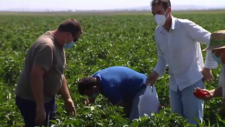 Los agricultores sevillanos de Lebrija protestan por la oleada de robos en sus cultivos