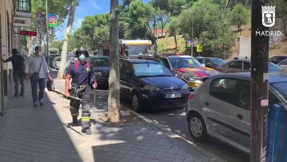 En estado grave un trabajador del Museo Nacional de Antropología tras caer de 12 metros