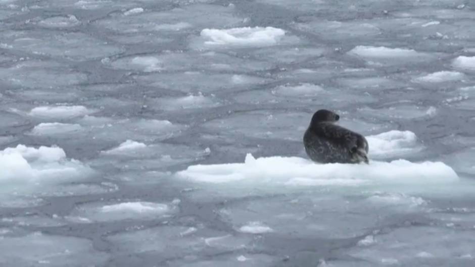 Los ecologistas piden que la pandemia no borre de la agenda política la crisis climática