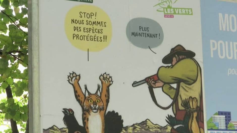 Los ciudadanos suizos votan este domingo si suavizar la protección sobre los lobos