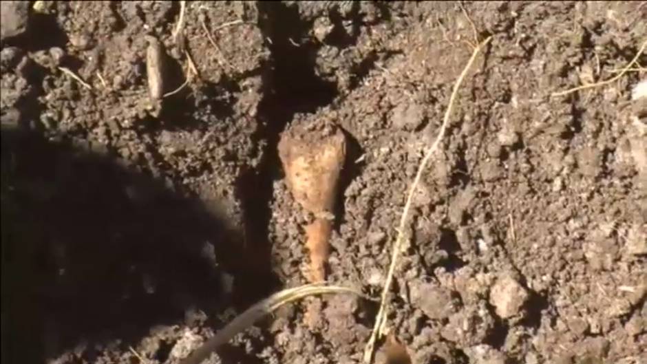 México exige justicia al cumplirse 6 años de la desaparición de 43 estudiantes en Ayotzinapa