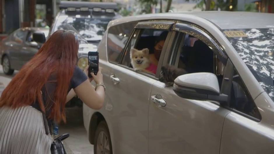 Los filipinos bendicen en Manila a sus mascotas desde la ventanilla de sus coches