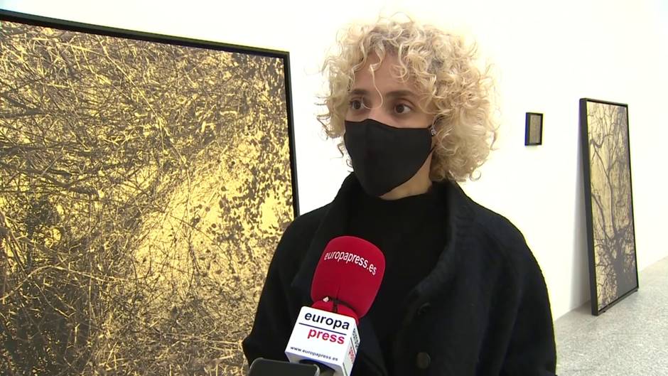 Una exposición en el Jardín Botánico reflexiona sobre la naturaleza, el universo y su aparente caos