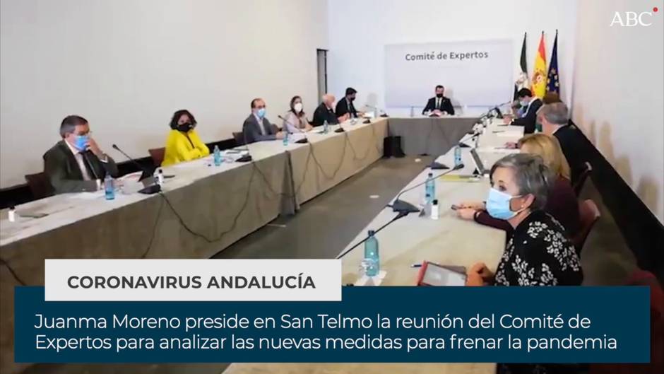 Comité de expertos sobre el coronavirus de la Junta de Andalucía