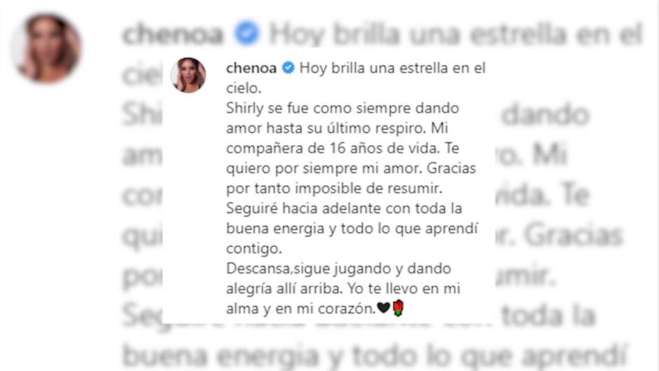 Chenoa, destrozada, se despide de su compañera más fiel