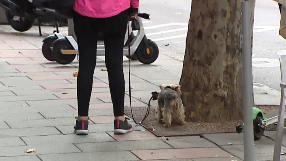 Rosalía Iglesias pasea a su perro por Madrid a la espera de entrar en la cárcel