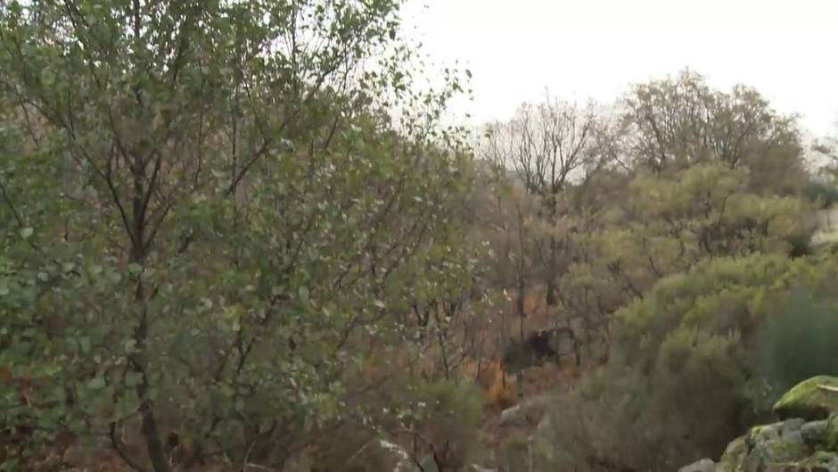 Fuerte viento en el norte de Cáceres