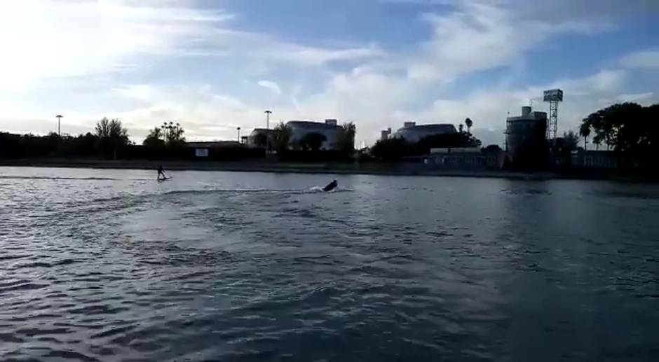 Surfeando el Guadalquivir