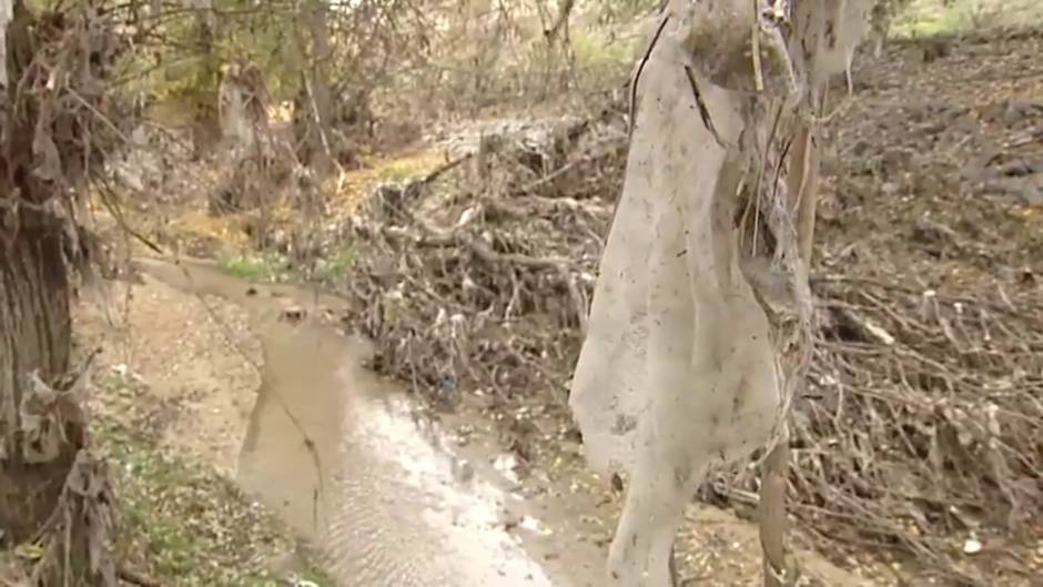 Miles de toallitas húmedas cubren por completo una zona de Madrid