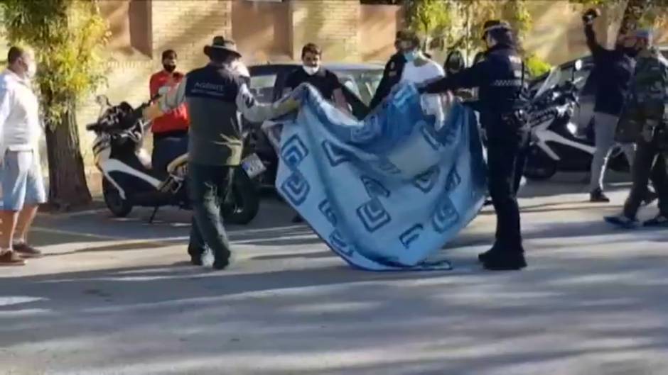 Un joven buitre leonado desorientado sorprende a los vecinos de San Fernando (Cádiz)