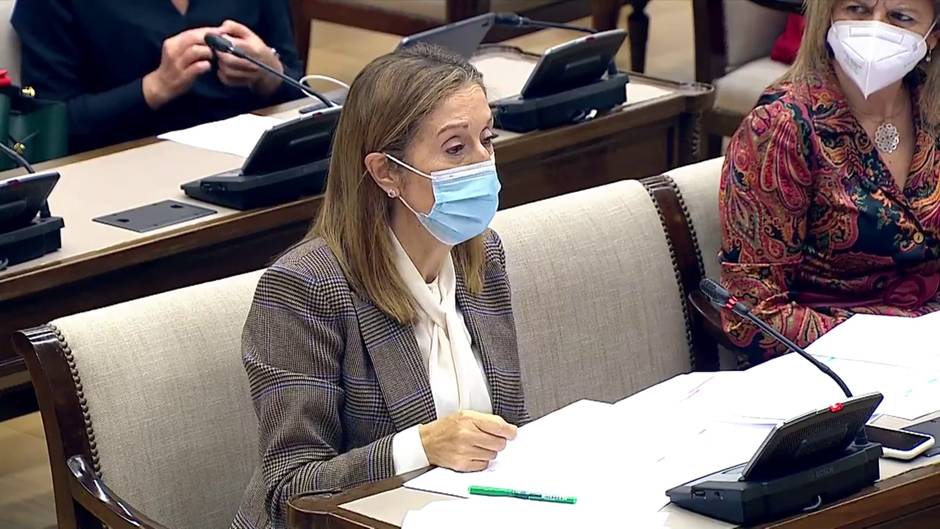 El PP propone realizar pruebas a las personas que se muevan en Navidad