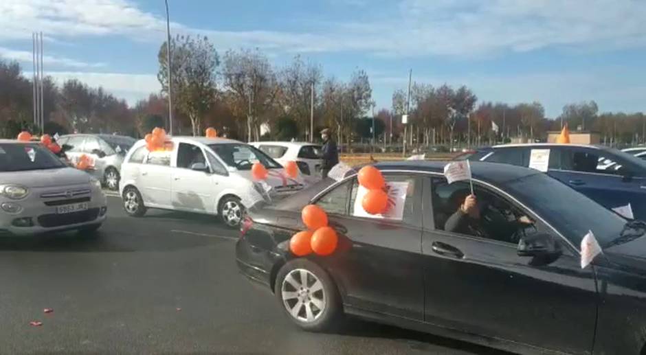 Miles de sevillanos protestan por la ley Celaá