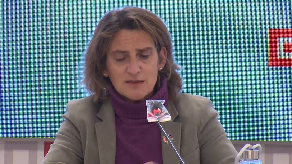 Ribera plantea posibilidad de "ordenar la producción" de las renovables