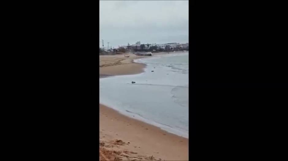 VIDEO: Una narcolancha embarranca en la playa de Sanlúcar a plena luz del día