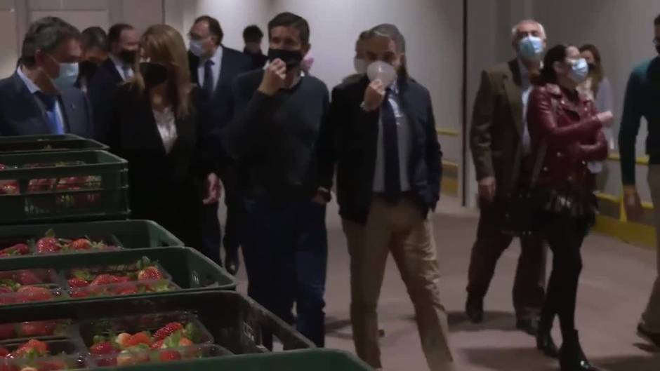 Junta aumentará mediadoras interculturales que trabajan en campaña de fresa