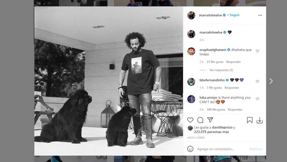 Marcelo reaparece en redes sociales ignorando las críticas