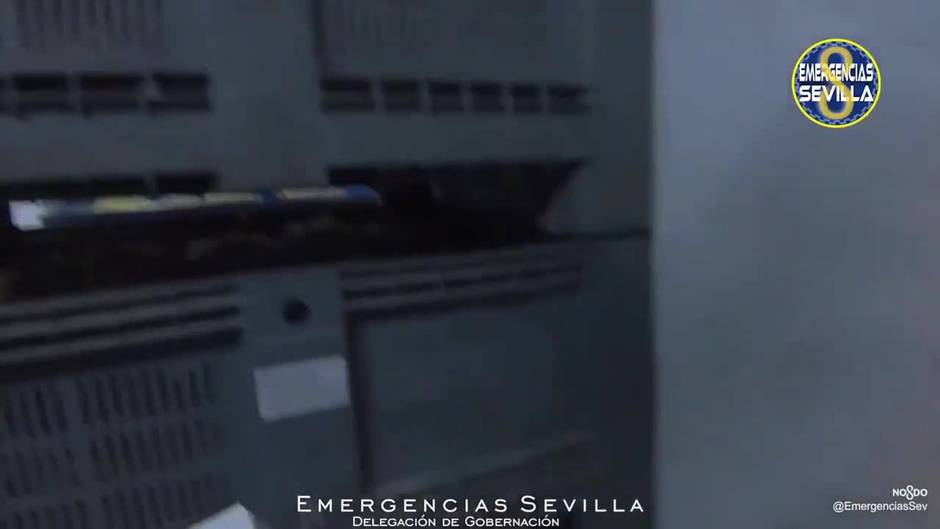 La Policía interviene 220 kilos de caracoles en mal estado que iban a ser vendidos en Sevilla