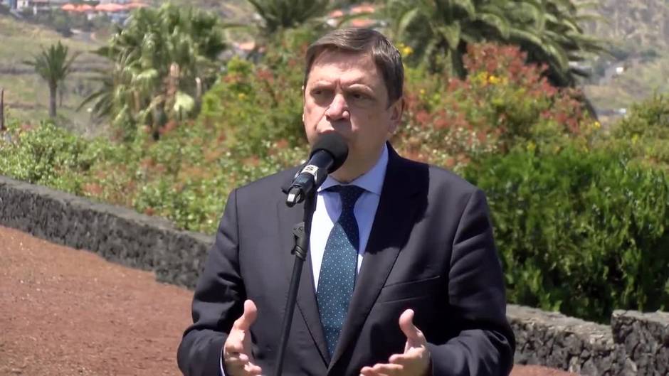 Planas reafirma su compromiso con el plátano de Canarias