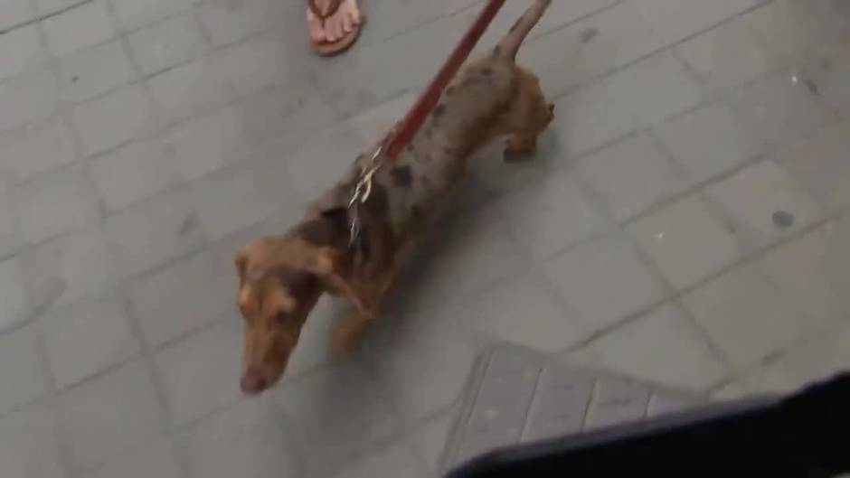 Claudia Ortiz habla por primera vez sobre su boda con José Entrecanales