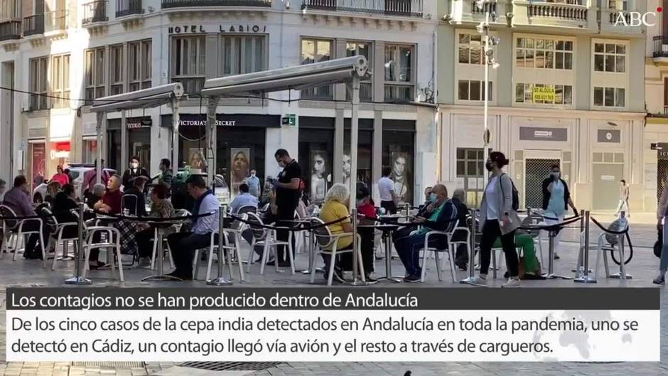 Dos nuevos hospitalizados con la cepa india de la COVID en Málaga elevan a cinco los casos en Andalucía