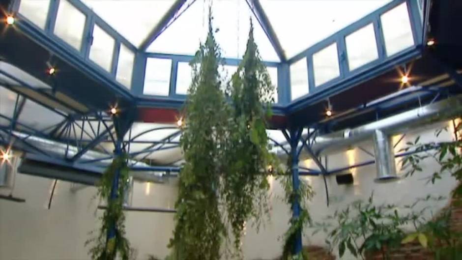 Bodas más intimas y con formato digital en los preparativos