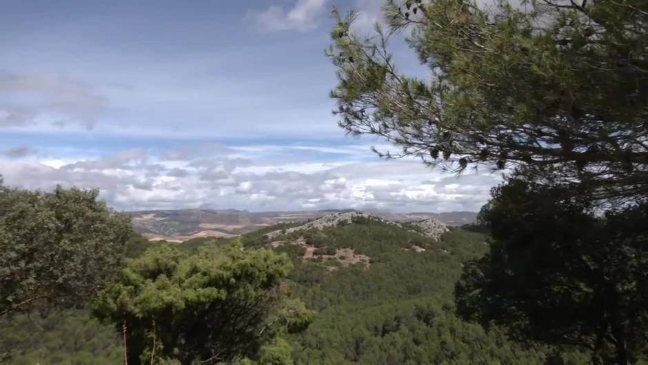 Crespo espera que Sierra de las Nieves, tercer Parque Nacional andaluz, atraiga a 500.000 visitantes