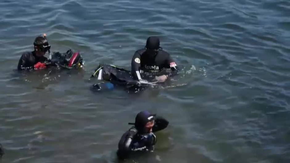 La cuenta atrás de una colonia de caballitos de mar en Grecia