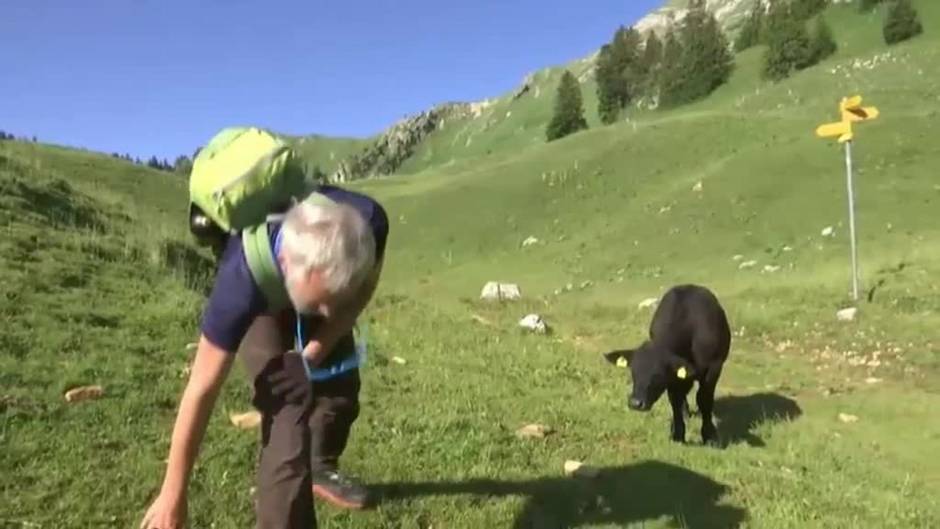 Un suizo desafía al párkinson y recorre 1000 kilómetros por los Alpes