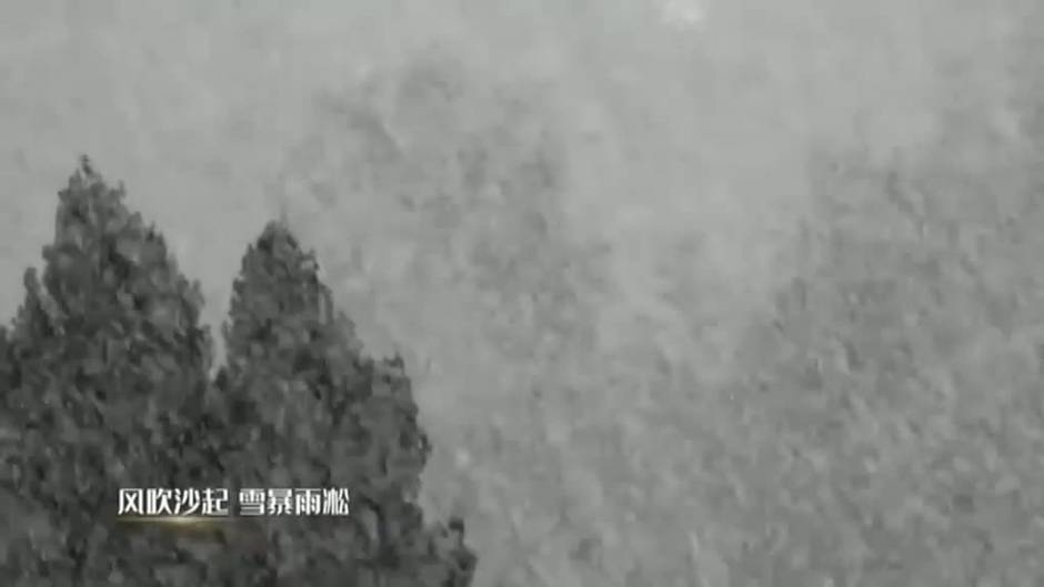 Parque nacional Saihanba: el tesoro nacional que no puedes perderte en China