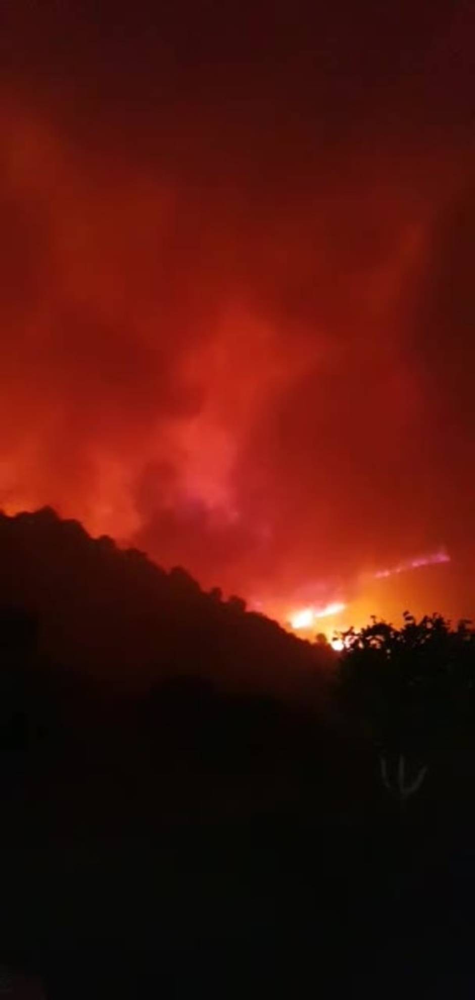 «Es un infierno»: El fuego de Sierra Bermeja avanza sin control como «un monstruo hambriento»