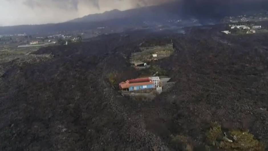 La lava arrasa invernaderos y plantaciones: el desastre continúa