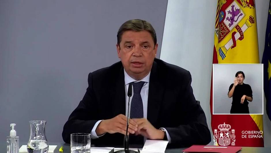 Gobierno quiere fomentar la venta de alimentos "feos"