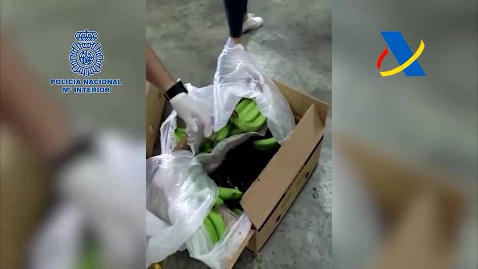 Intervenidos en Algeciras 1.152 kilogramos de cocaína ocultos entre plátanos