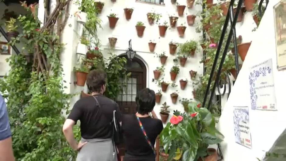 Córdoba se vuelve a llenar de flores