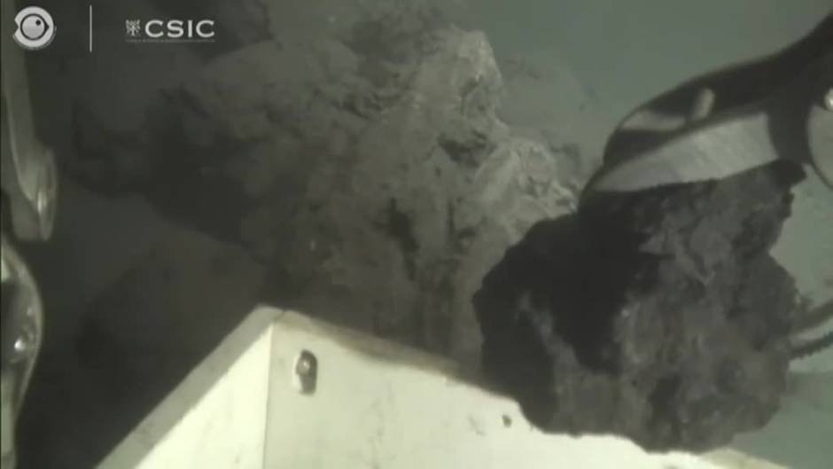 La afección del ecosistema marino en La Palma se extiende un kilómetro desde el frente de la colada