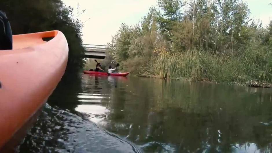 'Talaplogging' une deporte y medioambiente para acabar con la basura