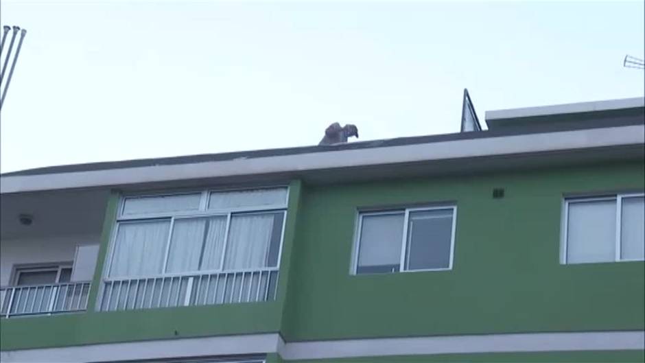 El volcán de Cumbre Vieja expulsa más ceniza que nunca