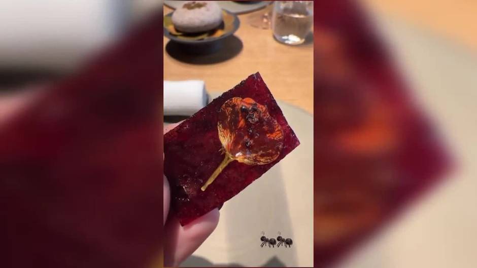 Cristina Pedroche disfruta junto a su marido de unas vacaciones en Copenhague